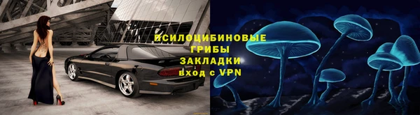 спиды Белокуриха